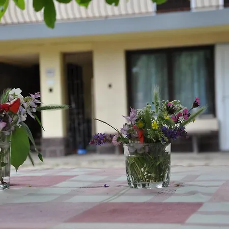 Apartmán Balaton 85 *